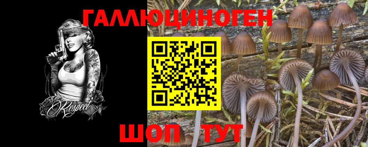 Псилоцибиновые грибы Psilocybine cubensis  Вход с VPN  наркошоп  Жигулёвск 